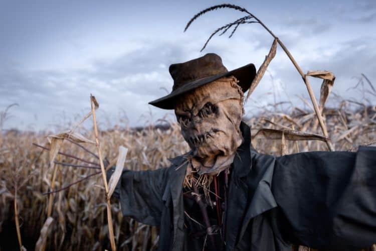 Scarecrow Costume Ideas