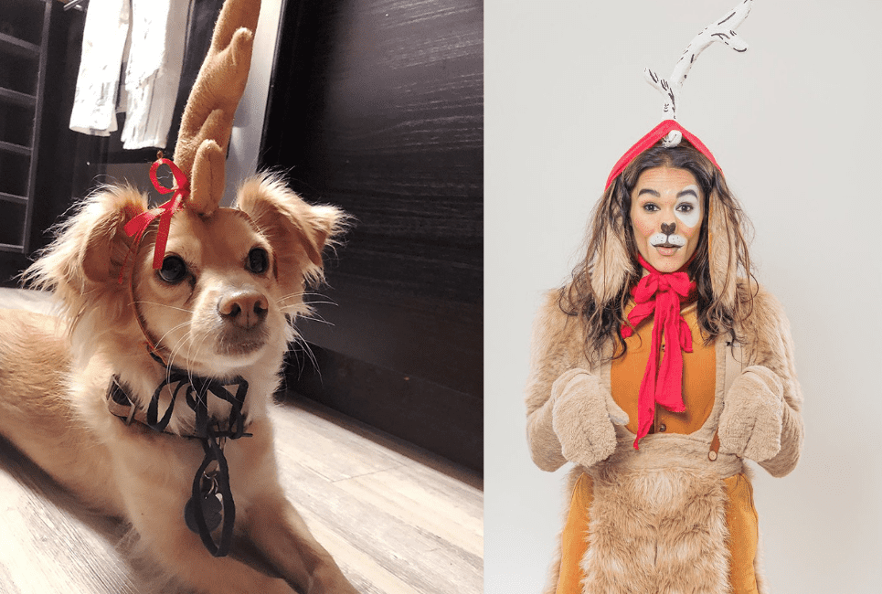 Grinch max costumes for dogs hotsell